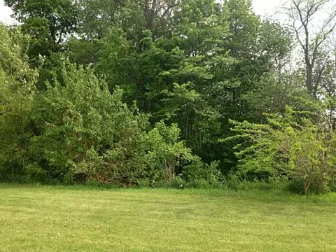 8520 State Route 119, Anna, OH 45302 photo 23