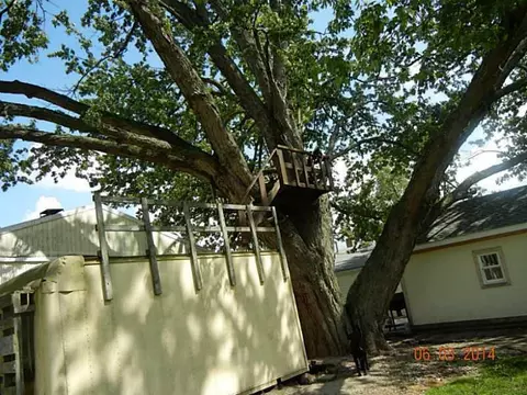 5238 Kerns, Springfield, OH 45502 photo 8