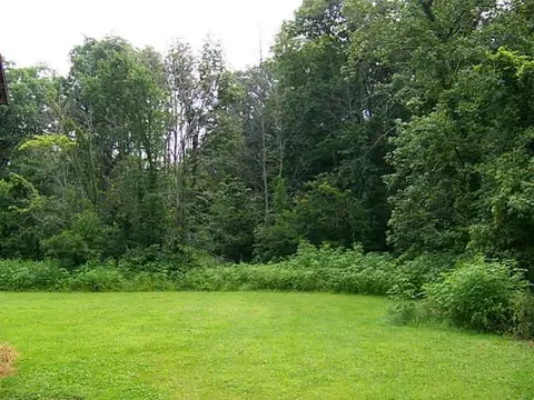 11380 Elgin, Mendon, OH 45862 photo 17