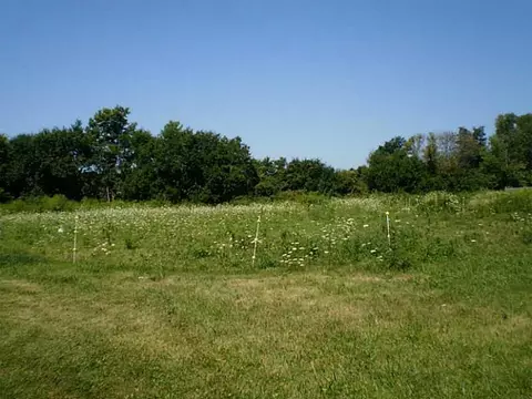 3685 Shrine Rd, Springfield, OH 45502 photo 14