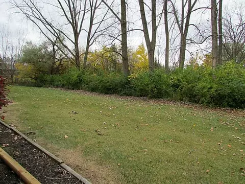 539 Argonne Ave #..., Springfield, OH 45503 photo 19