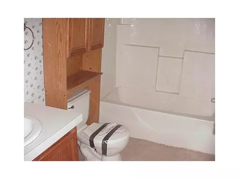 309 Blue, De Graff, OH 43318 photo 11