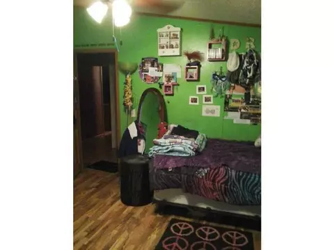 254 Pleasant, De Graff, OH 43318 photo 7
