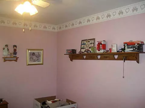 626 S Elm St, Celina, OH 45822 photo 8