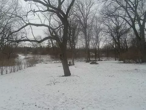 2247 Scioto, Springfield, OH 45506 photo 5