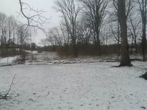 2247 Scioto, Springfield, OH 45506 photo 4