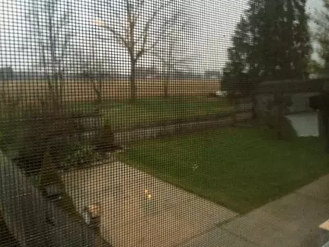 7732 Sunrise, Springfield, OH 45502 photo 21