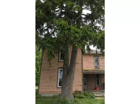 14777 Sharp, Sidney, OH 45365 photo 2