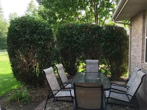 1509 Montego, Springfield, OH 45503 photo 25