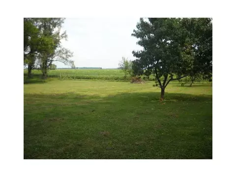 4536 N Hampton, Springfield, OH 45502 photo 7