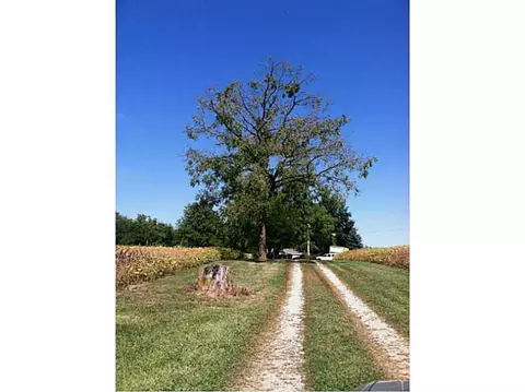6781 Mechanicsburg, Springfield, OH 45502 photo 2