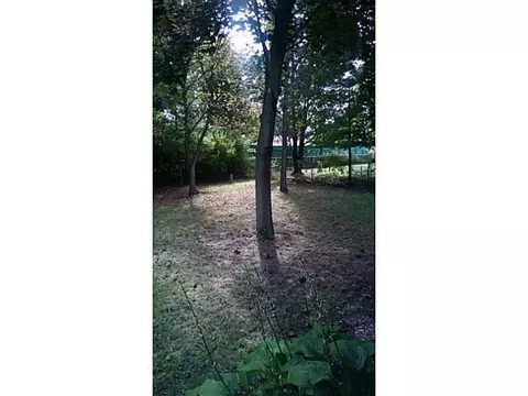 3122 Glouster, Springfield, OH 45503 photo 24