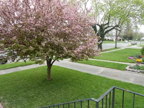 1952 Broadway, Springfield, OH 45504 photo 4