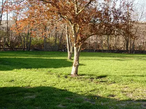 1118 Fox, Springfield, OH 45503 photo 6