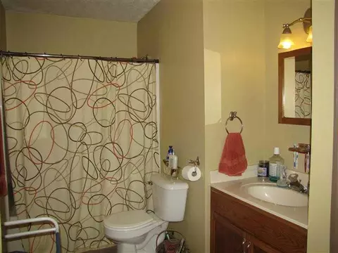 161 S Elm Tree, Conover, OH 45317 photo 10