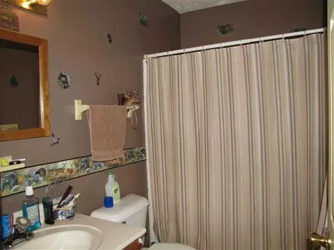 161 S Elm Tree, Conover, OH 45317 photo 13