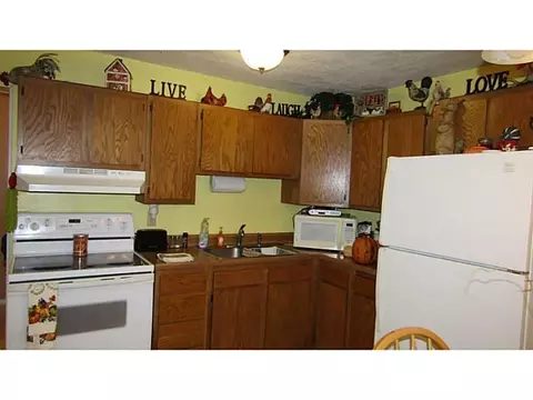 107 N N Ml, De Graff, OH 43318 photo 6