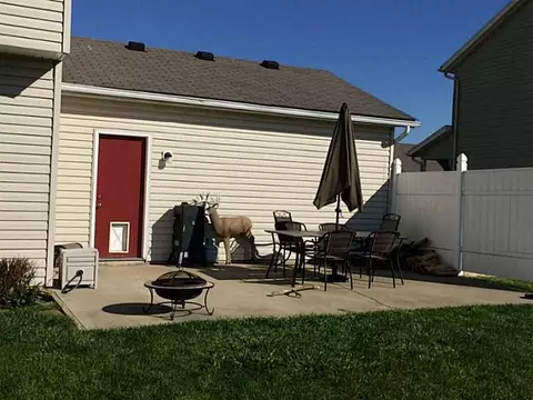 1367 Willow Chase, Springfield, OH 45503 photo 4