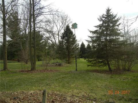 619 Shrine, Springfield, OH 45504 photo 23
