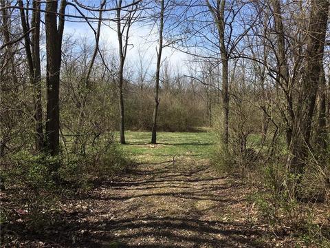 5201 Willowdale, Springfield, OH 45502 photo 3