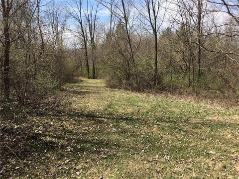 5201 Willowdale, Springfield, OH 45502 photo 5