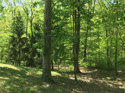 929 White Oak Dr, Springfield, OH 45504 photo 34