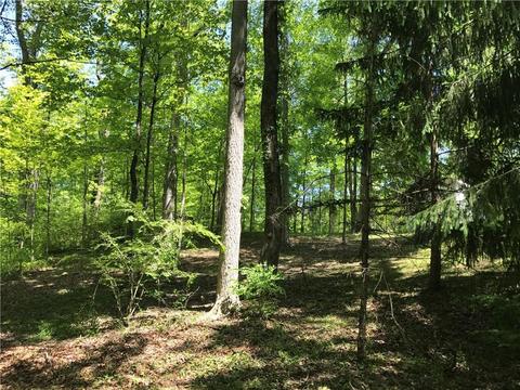929 White Oak Dr, Springfield, OH 45504 photo 32