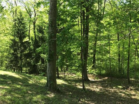 929 White Oak Dr, Springfield, OH 45504 photo 33