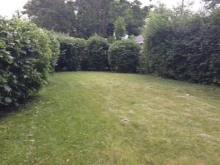 367 E Cassilly St, Springfield, OH 45503 photo 3