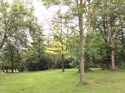 92 Moorefield, Springfield, OH 45502 photo 17