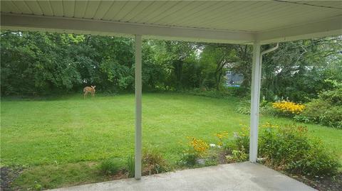 821 Weybridge Dr, Springfield, OH 45503 photo 6
