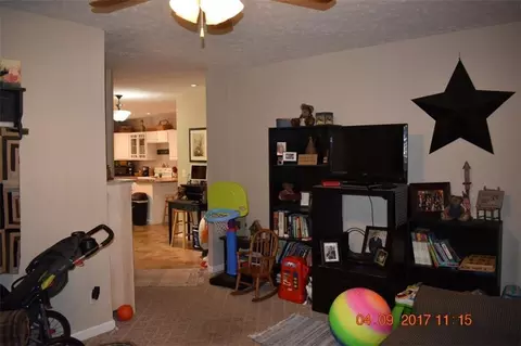 308 W Miami St, De Graff, OH 43318 photo 22