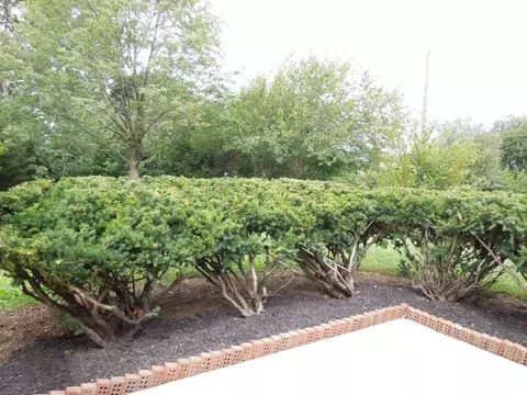 4231 Joy Dr, Enon, OH 45323 photo 5