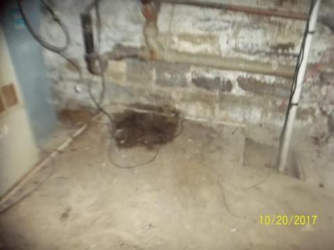 1806 Highland, Springfield, OH 45503 photo 15