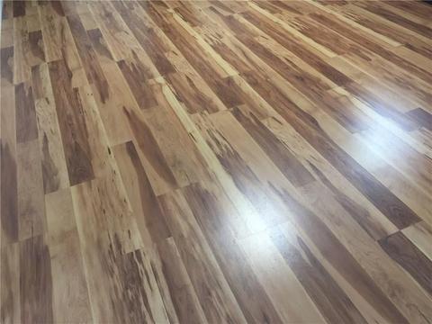 2333 Northmoor Dr, Springfield, OH 45503 photo 26