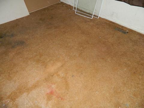 1632 Allison Ave, Springfield, OH 45506 photo 5