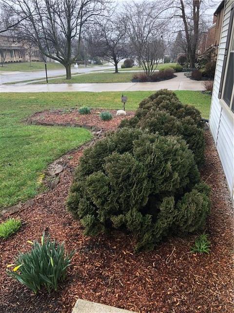 3114 Imperial, Springfield, OH 45503 photo 31