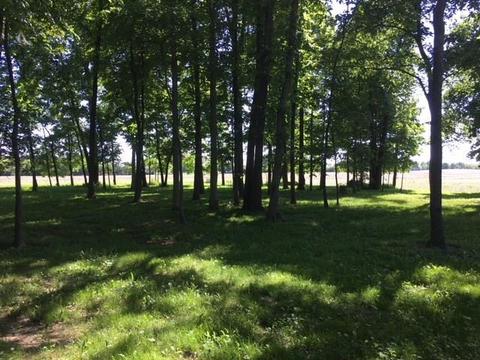 483 E Sparrow Rd, Springfield, OH 45505 photo 6