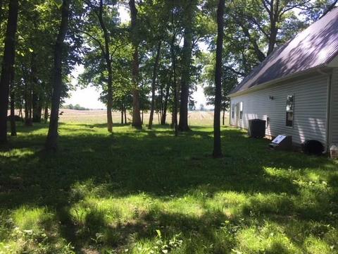 483 E Sparrow Rd, Springfield, OH 45505 photo 7
