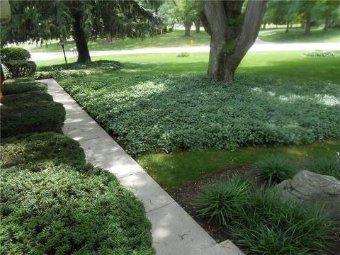 3301 Kappel Dr, Springfield, OH 45503 photo 5