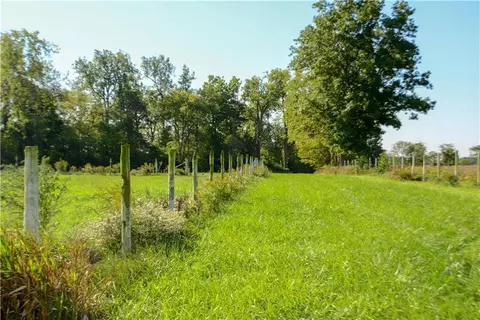 3758 St Anthony Rd, Celina, OH 45822 photo 40
