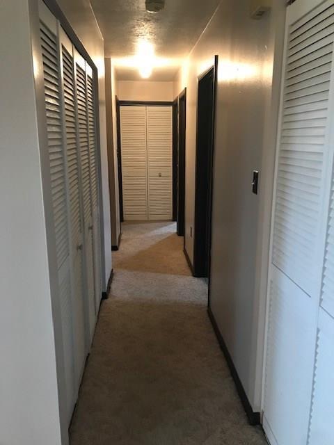 17384 Lock Two Rd, Botkins, OH 45306 photo 13