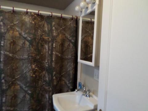 206 E State, Botkins, OH 45306 photo 17