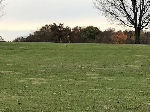 7233 Crowl Rd, De Graff, OH 43318 photo 76