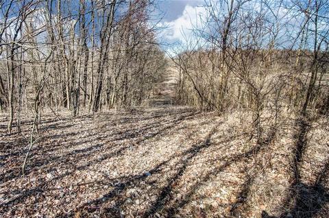 7233 Crowl Rd, De Graff, OH 43318 photo 66
