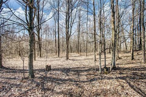 7233 Crowl Rd, De Graff, OH 43318 photo 65