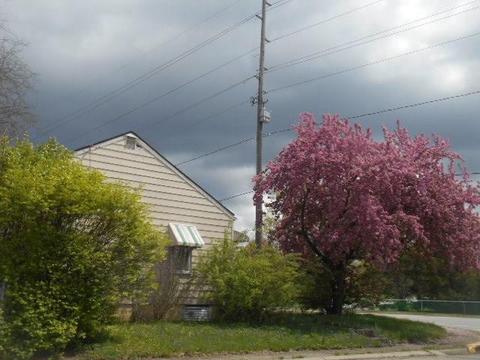 1024 W First St, Springfield, OH 45504 photo 2