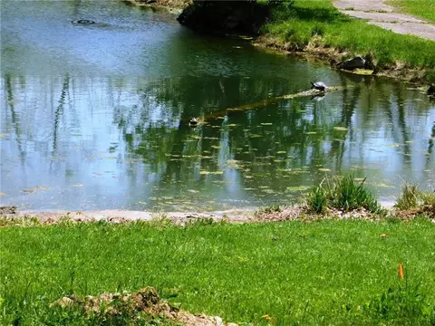 6152 Jackson Rd, Sidney, OH 45365 photo 51