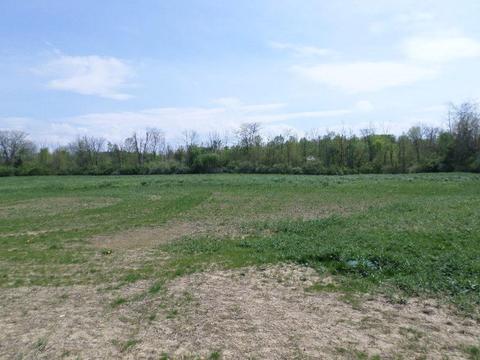 295 E Mason, Sidney, OH 45365 photo 3