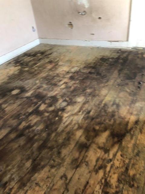 1116 Linden, Springfield, OH 45505 photo 6